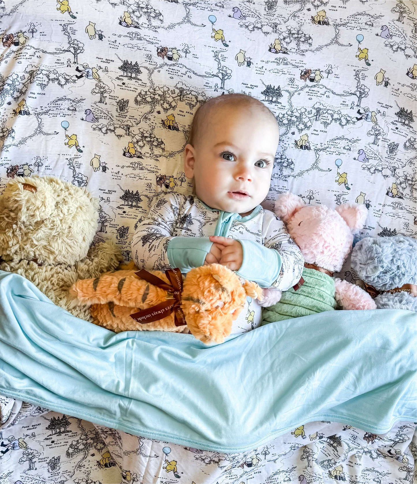 Hunny Trails Crib Sheet