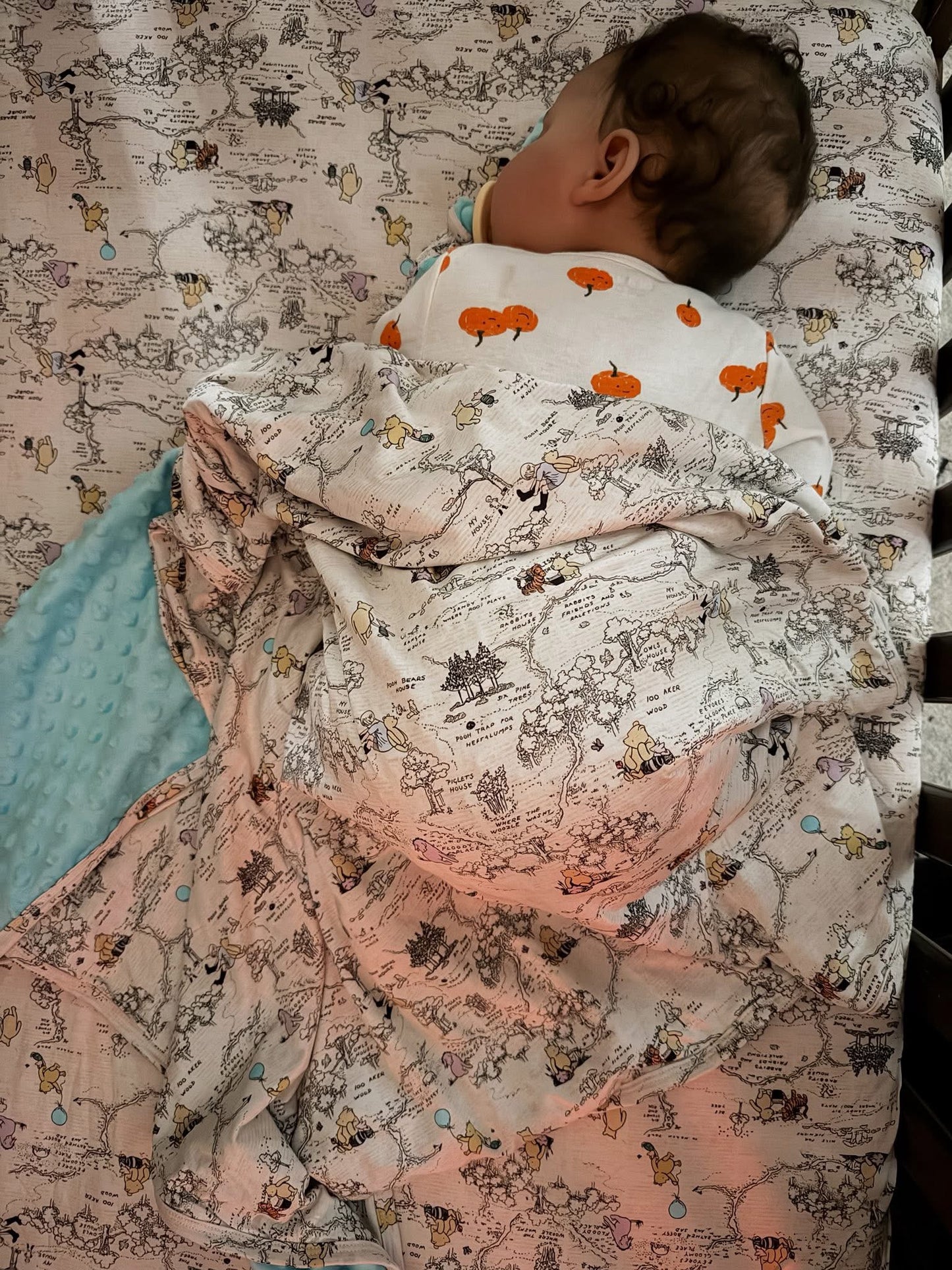 Hunny Trails Travel Blanket