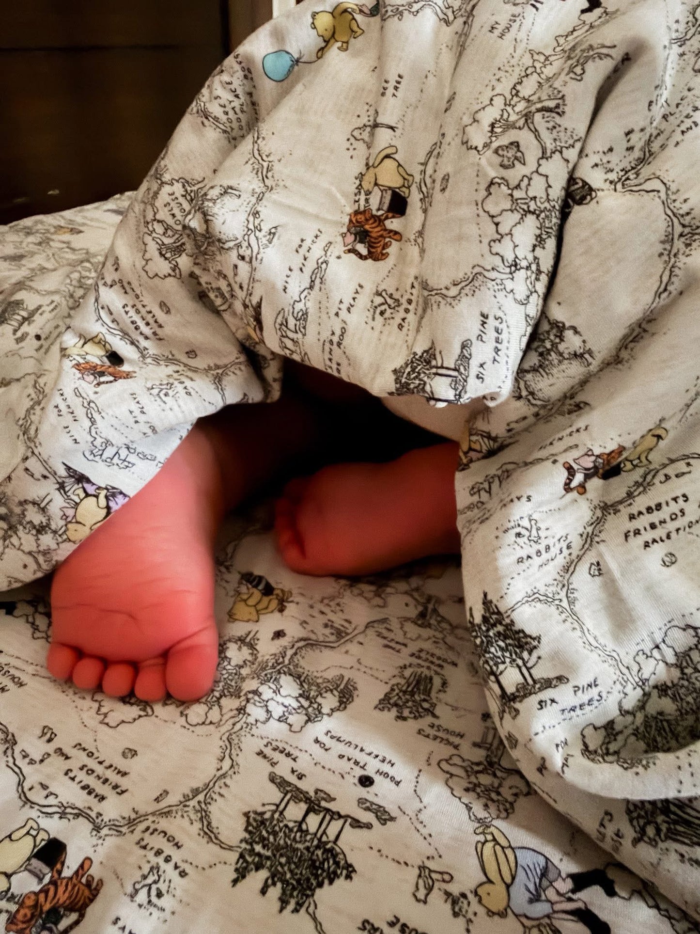 Hunny Trails Crib Sheet